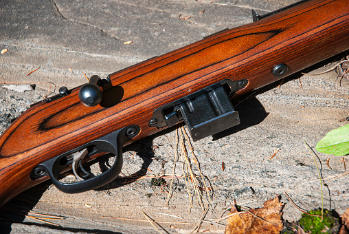 Vantagens de se comprar um rifle calibre .22